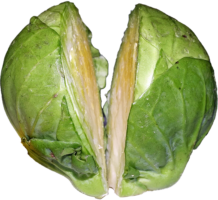 Brussels sprout