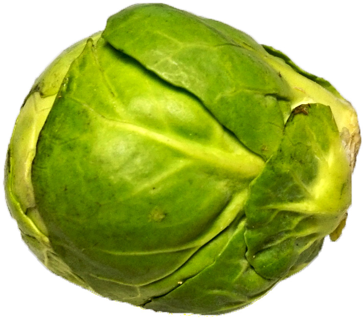 Brussels sprout